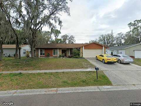 Briarlake, VALRICO, FL 33596
