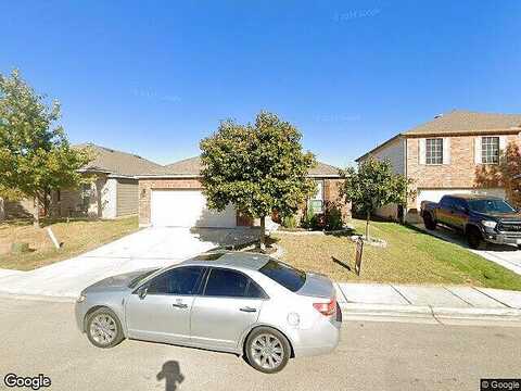 Indian, SCHERTZ, TX 78154