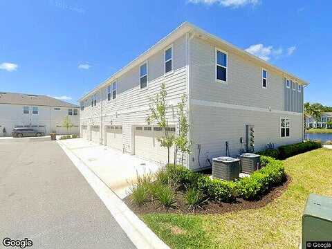 Oystercatcher, JACKSONVILLE, FL 32224