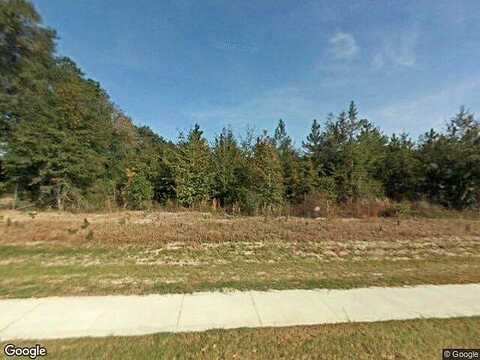 Mulberry, LAKE CITY, FL 32024