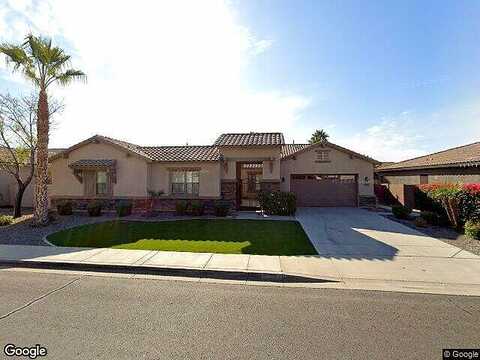 Warbler, GILBERT, AZ 85297