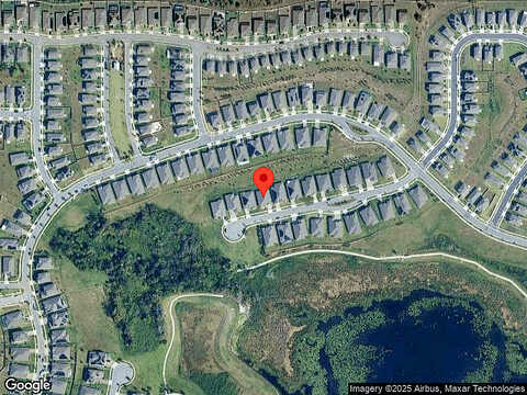 Norway Maple, OCOEE, FL 34761
