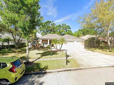 Durant Trails, DOVER, FL 33527
