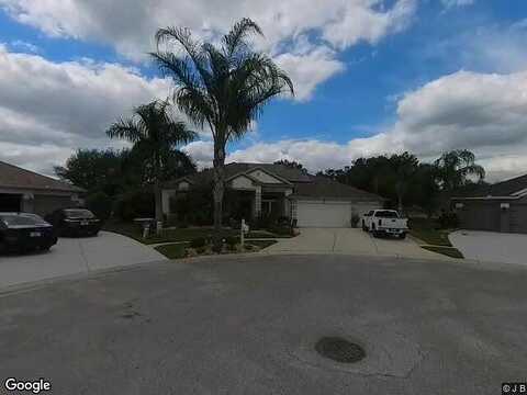 Ferdinand, WESLEY CHAPEL, FL 33544