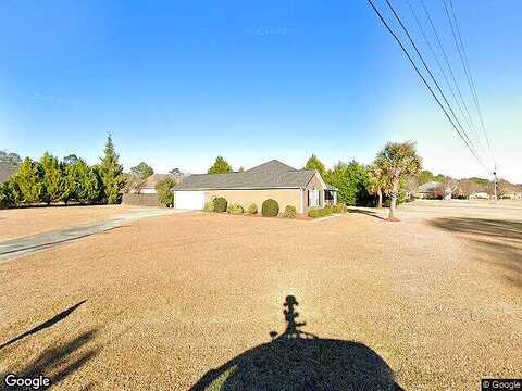 Sandspur, VIDALIA, GA 30474