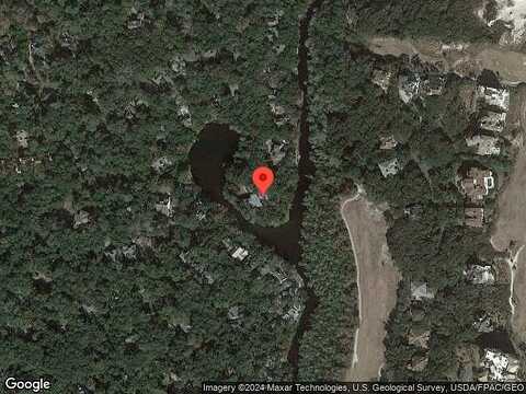 Wild Grape, FERNANDINA BEACH, FL 32034