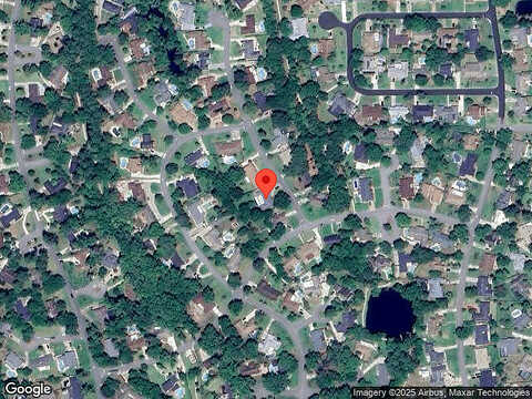 Spanish Moss, JACKSONVILLE, FL 32246