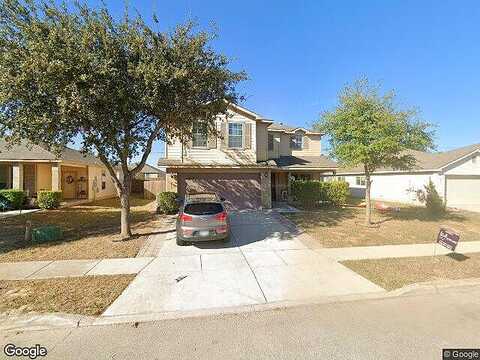 Hawks, SCHERTZ, TX 78154