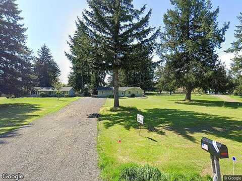 Apricot, ROCHESTER, WA 98579