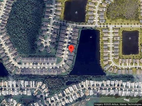 Areca Palm, PORT ORANGE, FL 32128