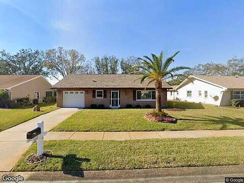 Dorchester, PALM HARBOR, FL 34684