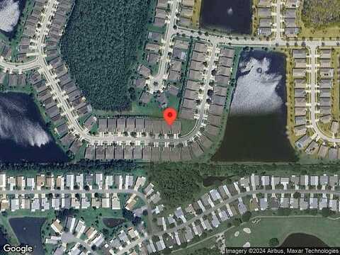 Areca Palm, PORT ORANGE, FL 32128