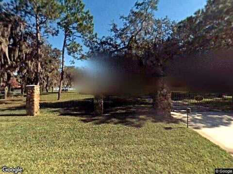 Acorn, TAVARES, FL 32778