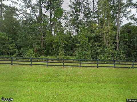 115Th, REDDICK, FL 32686
