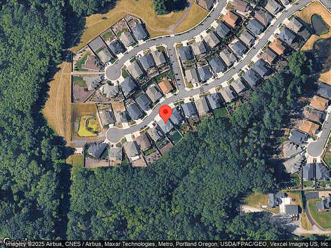 Harrier, RIDGEFIELD, WA 98642