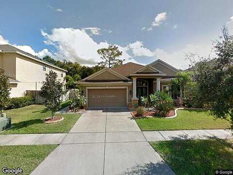 Himes, TAMPA, FL 33618