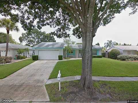 Lady Amy, CASSELBERRY, FL 32707