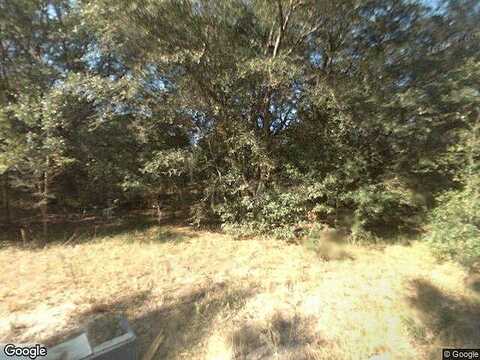 34Th, SUMMERFIELD, FL 34491