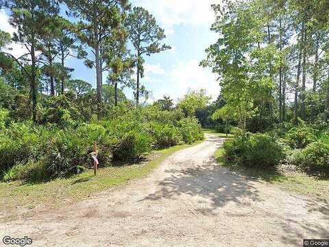 Jane Lacy, NEW SMYRNA BEACH, FL 32168