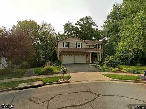 Water Birch, FAIRFAX, VA 22033