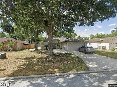 Fish Hawk, JACKSONVILLE, FL 32225