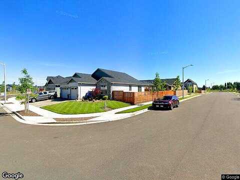 Daylily, WOODBURN, OR 97071