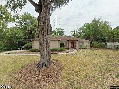 Hilltop, MOUNT DORA, FL 32757