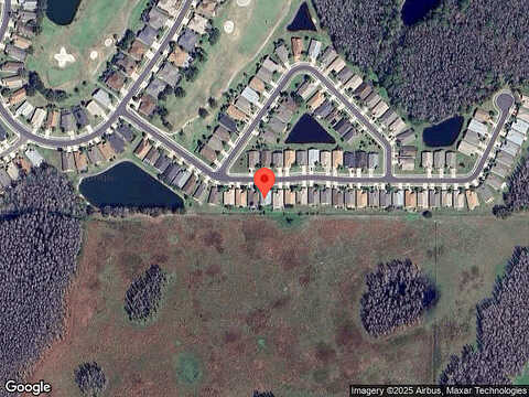 Yellow Finch, TRINITY, FL 34655