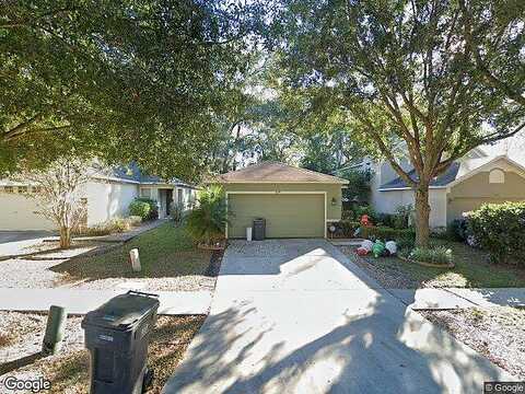 Mango Groves, SEFFNER, FL 33584