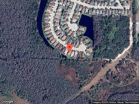 Ketzal, TRINITY, FL 34655