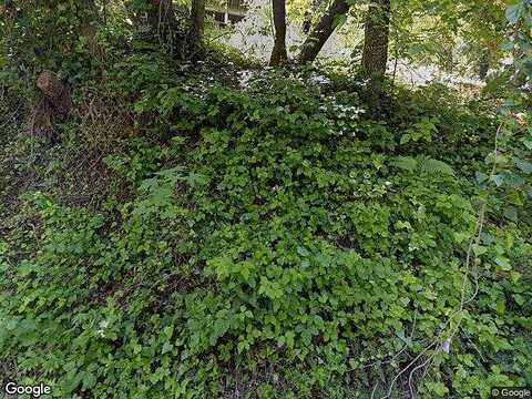 Forrest, FAIRFAX, CA 94930