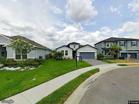 Radley, WESLEY CHAPEL, FL 33545