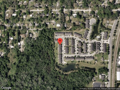 Downy Birch, LONGWOOD, FL 32750