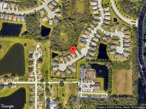 Buttercup, BRADENTON, FL 34212