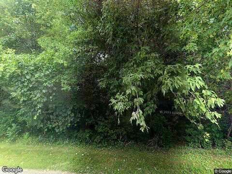 116Th, CLEAR LAKE, MN 55319