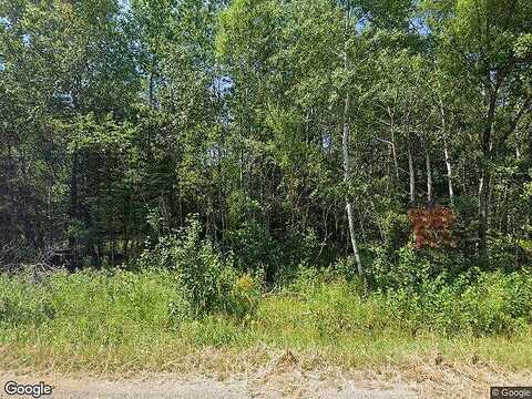 Wolf, IRON, MN 55751