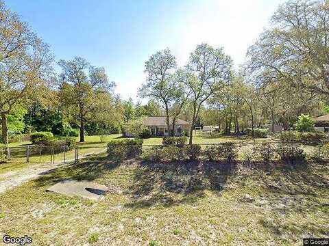 Dolphin, MIDDLEBURG, FL 32068