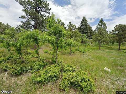Scrub Oak, MONUMENT, CO 80132