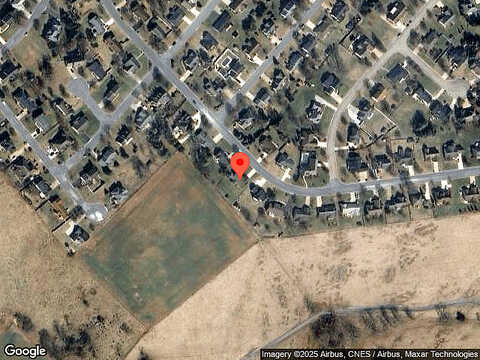 Nutmeg, ROCKINGHAM, VA 22801