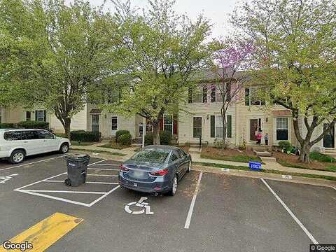 Tiger Lily, WOODBRIDGE, VA 22192