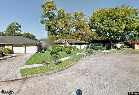 Glenwood Forest, HOUSTON, TX 77078