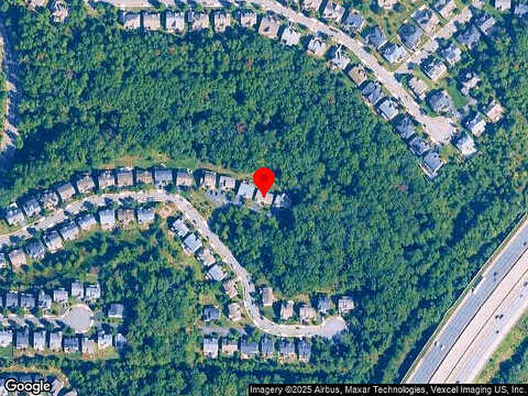 Paper Birch, LORTON, VA 22079
