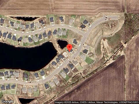 Spruce, FARMINGTON, MN 55024