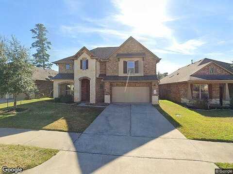 Little Blue Heron, CONROE, TX 77304