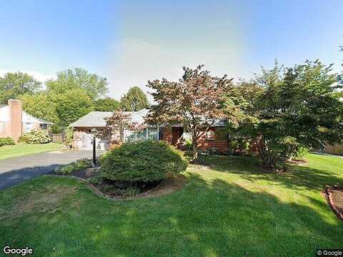Mimosa, MECHANICSBURG, PA 17055