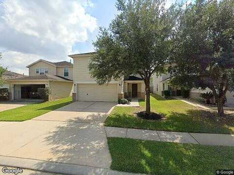 Flying Geese, TOMBALL, TX 77375