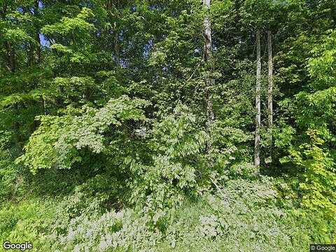Star Neva, BRYANT, WI 54418