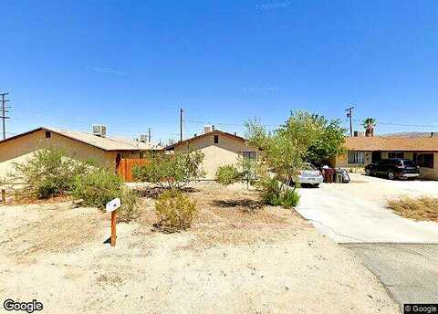 Smoketree, TWENTYNINE PALMS, CA 92277