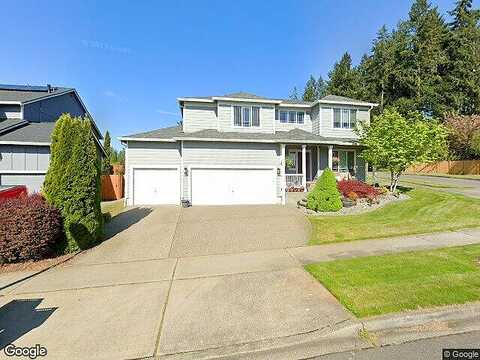 Lady Fern, OLYMPIA, WA 98502