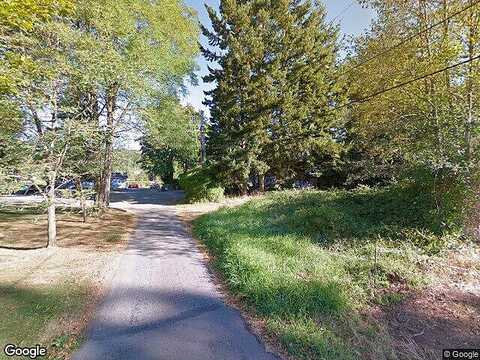 Cougar, BELLINGHAM, WA 98226